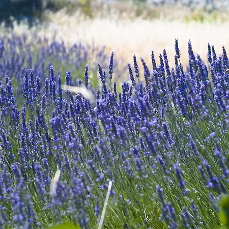 In With Sea View, Balcony, Air Conditioning, Wifi 3615-1 아파트 흐바르