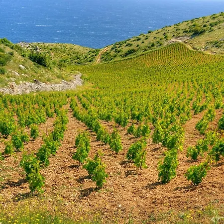 아파트 In With Sea View, Balcony, Air Conditioning, Wifi 3615-1 흐바르