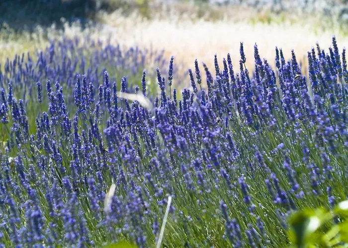 In With Sea View, Balcony, Air Conditioning, Wifi 3615-1 Apartment Hvar Town