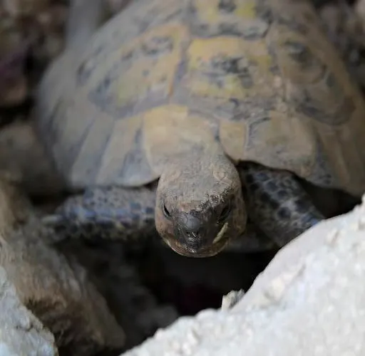 公寓 In With Sea View, Balcony, Air Conditioning, Wifi 3615-1