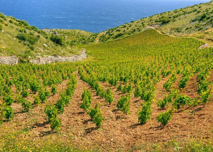 公寓 In With Sea View, Balcony, Air Conditioning, Wifi 3615-1 赫瓦尔